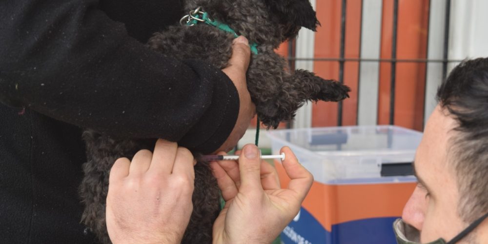 Entry Thumbnail